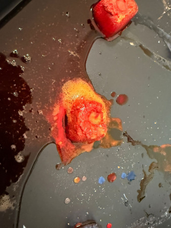 Společný den radosti